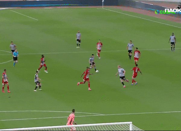 oreothorax giphyupload GIF