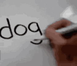 dog draw GIF
