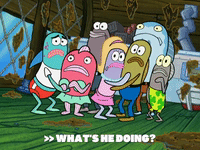 season 6 gullible pants GIF by SpongeBob SquarePants