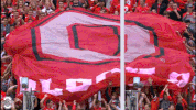 ncaa sports GIF by Ohio State Athletics