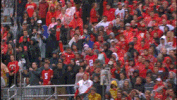 ohio state buckeyes ncaa GIF by Ohio State Athletics