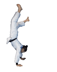 Circus Handstand Sticker by Judo Austria