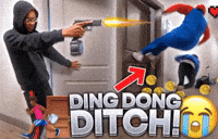 Graduation_bear  GIF