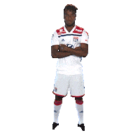 ligue 1 cornet Sticker by Olympique Lyonnais