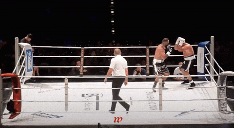 giphy.gif