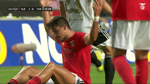 Sl Benfica Gabriel GIF by Sport Lisboa e Benfica
