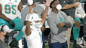 Regular Season Football GIF by NFL