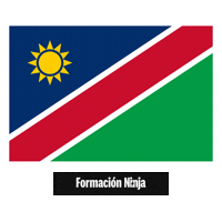 Flag Bandera Sticker by Formación Ninja