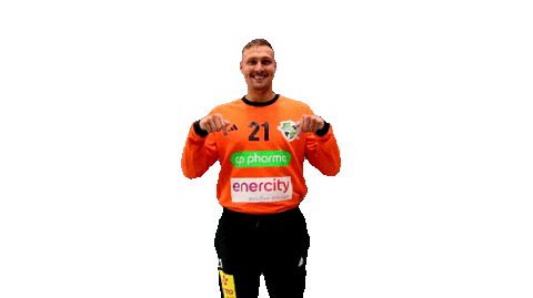 Sport Handball Sticker by DIE RECKEN