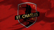 United Football GIF by USL
