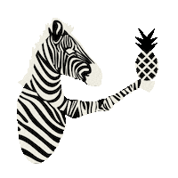 Pineapple Zebra Sticker by Michelle Rago Destinations