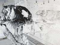 dinosaur GIF by A.M.T.G. G.G.