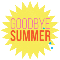 Summer Fall Sticker by Round Rock Lifeguards