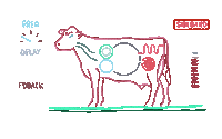 Teenage Engineering Cow Sticker by Inner Ocean Records