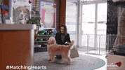 Taylor Cole GIF by Hallmark Channel