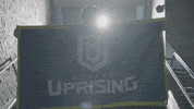 Overwatch Flag GIF by Boston Uprising