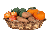 Basket Fruitbasket Sticker by MARFRUIT