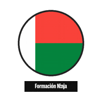 Flag Bandera Sticker by Formación Ninja