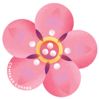 compasscoffeedc spring dc cherry blossom compass coffee Sticker