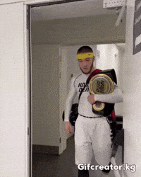 Bars Барс GIF