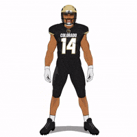 Be Quiet Colorado Buffaloes GIF by Panini America