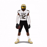 College Football GIF by Panini America