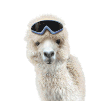 Llama Alpaca Sticker by Chris Burkard
