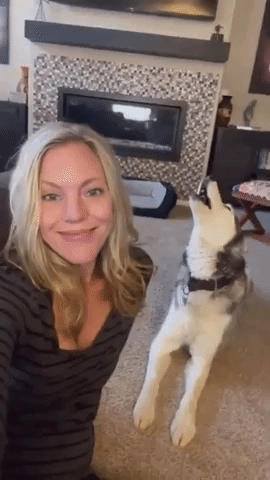 Vocal Husky Goes on Howling Rant at Owner