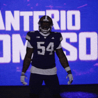 Bow Down University Of Washington GIF by Washington Athletics