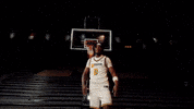 Ncaa Basketball GIF by Mizzou Athletics
