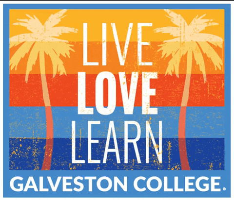 Love GIF by Galveston College