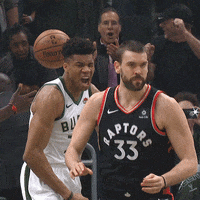 nba playoffs GIF by Milwaukee Bucks