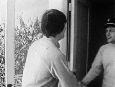 The Beach Boys GIF