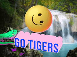 Go Tigers