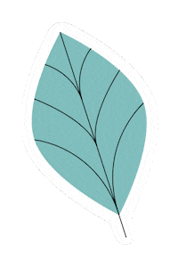 Festival Plants Sticker by Silvia Reginato