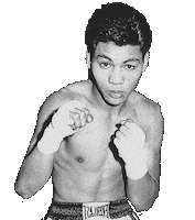yogaplus_ph workout boxing flash champion Sticker