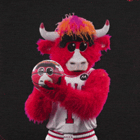 Red Bull Wow GIF by Chicago Bulls