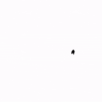 ghulamrusli muhammad nabi muhamad ghulamrusli GIF