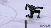 nhl happy sports celebration excited GIF