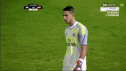 sl benfica slbgifs GIF by Sport Lisboa e Benfica