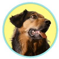 Sticker by Crowdmedia