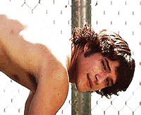 teen wolf love GIF