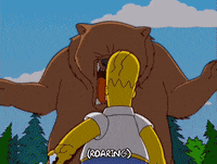 homer simpson GIF
