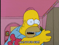 homer simpson GIF