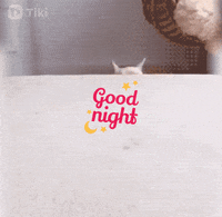 Tikibest reaction dog night goodnight GIF