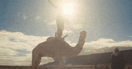 djsnake happy party dancing celebration GIF