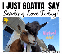 Thinking Of You Pets GIF by Goatta Be Me Goats! Adventures of Java, Toffee, Pumpkin and Cookie!