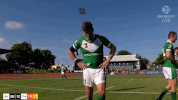 rugby league rlwc GIF by NRL