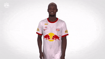 Red Bull Sport GIF by FC Red Bull Salzburg