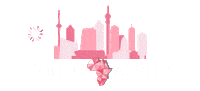 South Africa Fireworks Sticker by elan_cafe